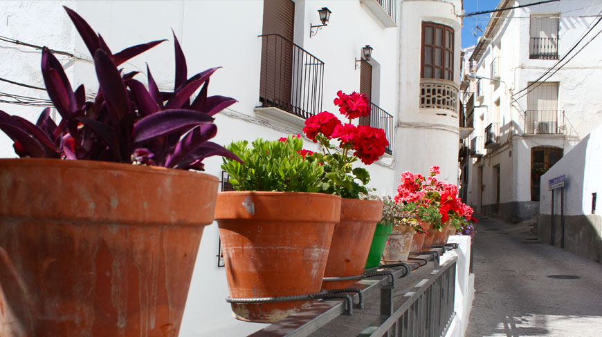 monumental-calle-real-1