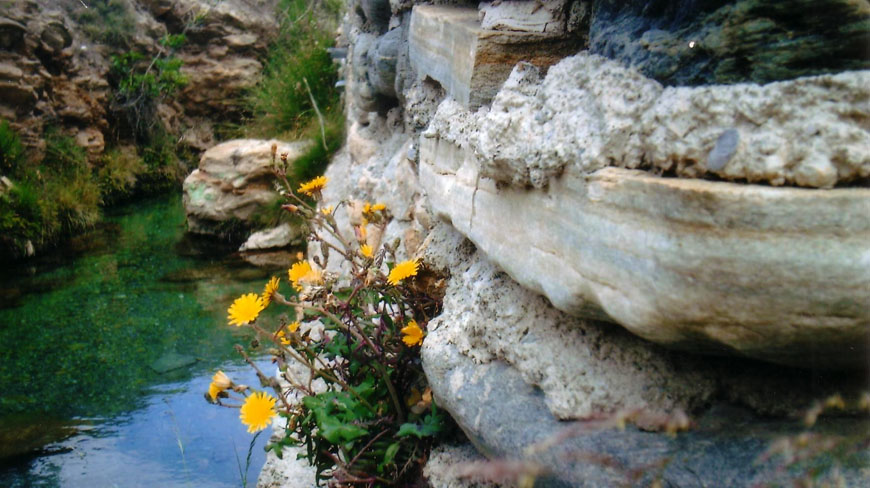 natural-el-aljibe-2